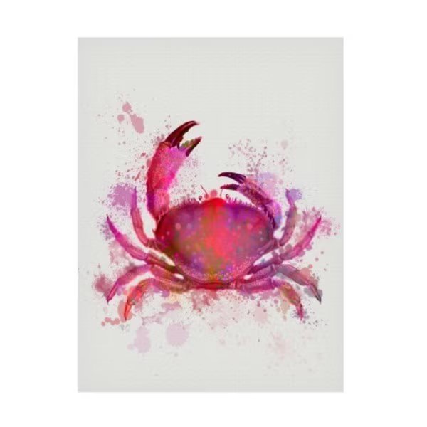 Fab Funky 'Crab 1 Pink Rainbow Splash' Canvas Art, 18x24, Trademark Fine Art, Mfr#: WAG15836-C1824GG